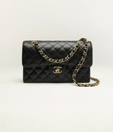 C.H.A.N.E.L Small Classic Handbag